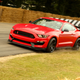 Illustration for article titled Goodwood Photo Goodness